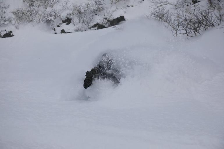 27540790_1199937060139396_4329275349515406163_n